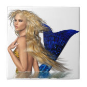 人魚 タイル (正面)