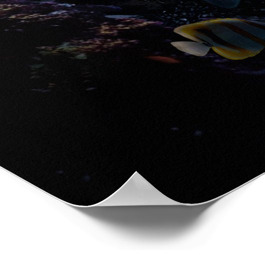 人魚 ポスター (角)