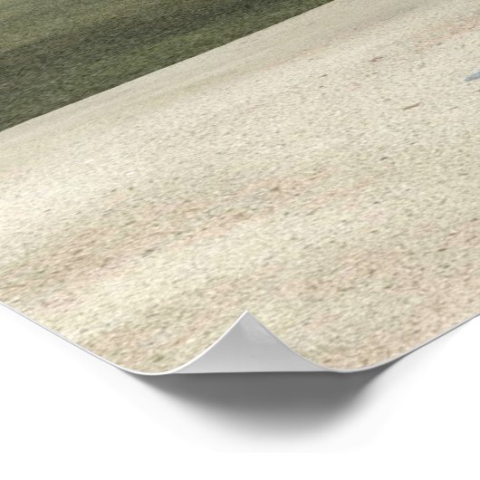 人魚 ポスター (角)