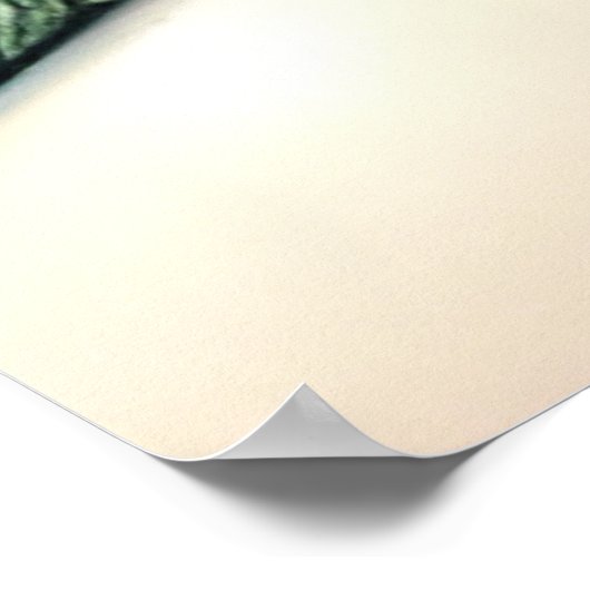 人魚 ポスター (角)