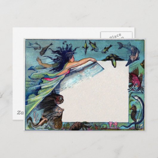 人魚 ポストカード (正面/裏面)