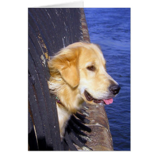 人..... 願いIは泳ぐ方法を知っていました!