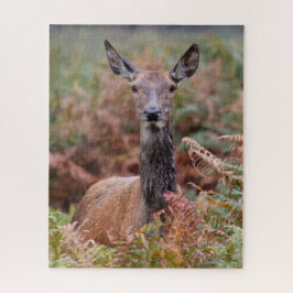 今あなたは私の注意を持っている – 16x20 - 520ピース ジグソーパズル