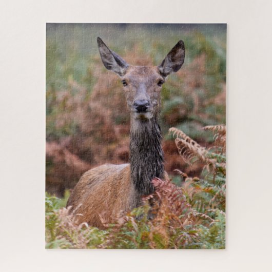 今あなたは私の注意を持っている – 16x20 - 520ピース ジグソーパズル (縦)