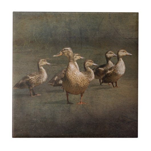 今か。 タイル (正面)