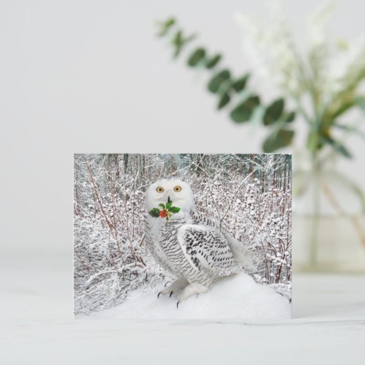 今が旬 ポストカード (スタンド正面)