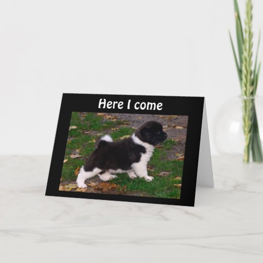 今すぐ病気希望感じが出来たぞ！ カード (正面)