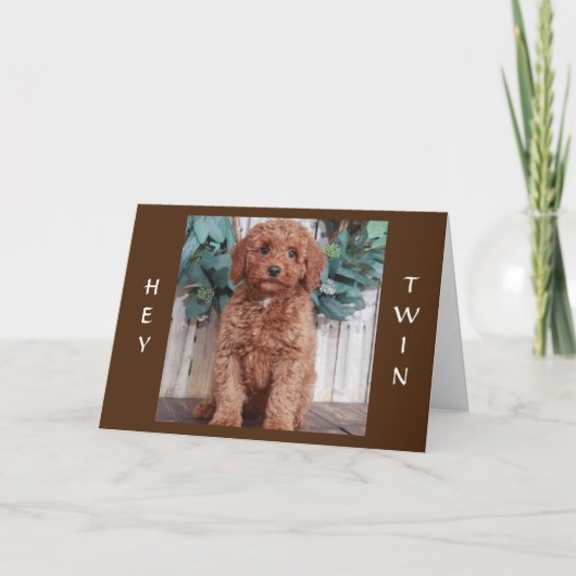 今すぐ「祝双子の誕生日」に向かう カード (正面)