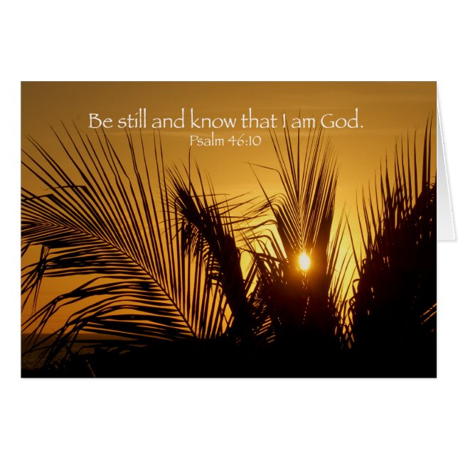 今でも日没があって下さい (正面横)