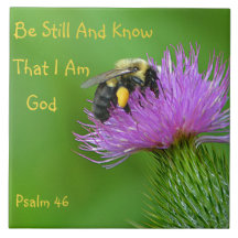 今でも《昆虫》マルハナバチがあって下さい