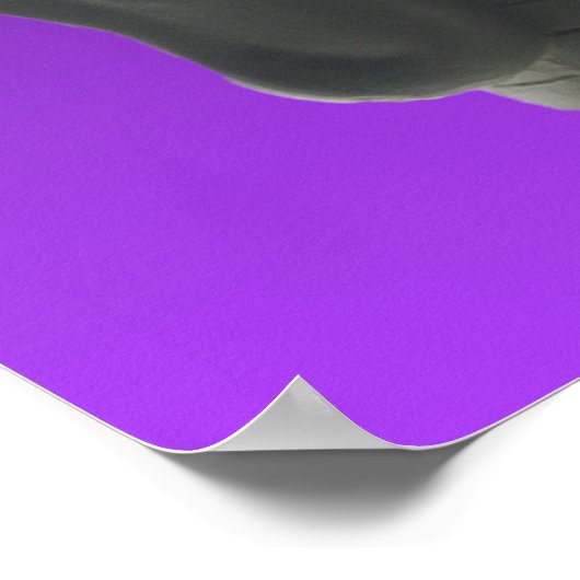 今の瞬間 ポスター (角)