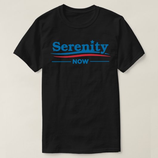 今の静穏 Tシャツ (デザイン正面)