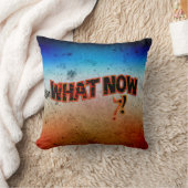 今の?! クッション (ブランケット)