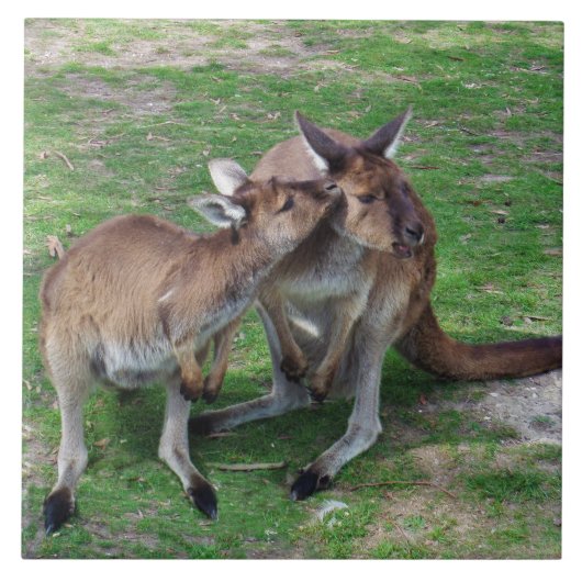 今はスキップ タイル (正面)