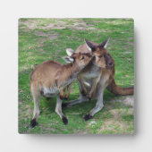 今はスキップ フォトプラーク (正面)