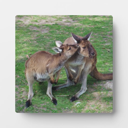 今はスキップ フォトプラーク (正面)