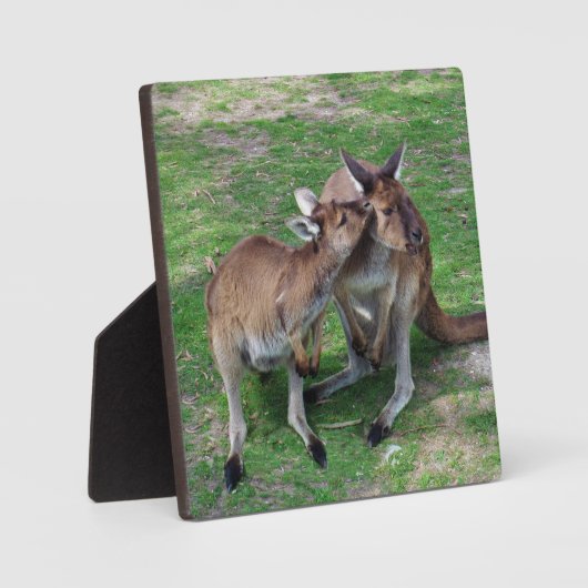 今はスキップ フォトプラーク (正面)