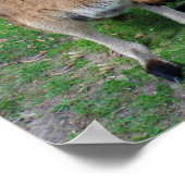 今はスキップ ポスター (角)