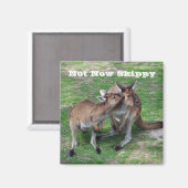 今はスキップ マグネット (正面/裏面)