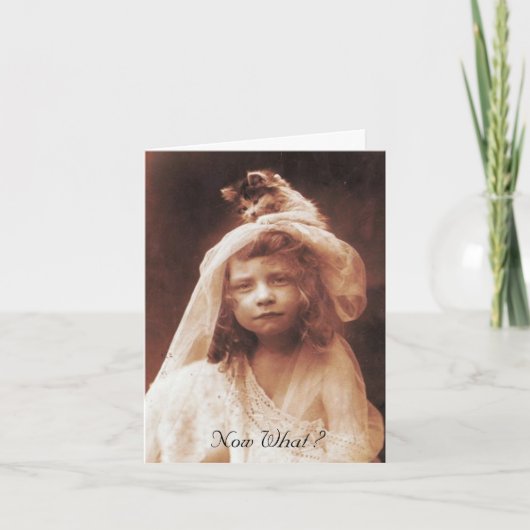 今は何？かわいい猫ヴィンテージ写真卒業カード カード (正面)