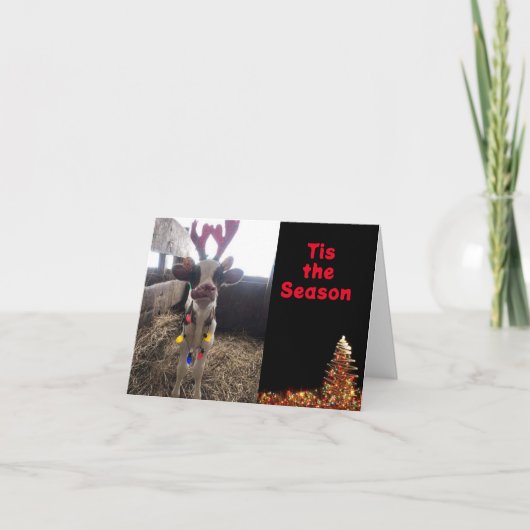 今は君と一緒に**い祝る季節だ** シーズンカード (正面)