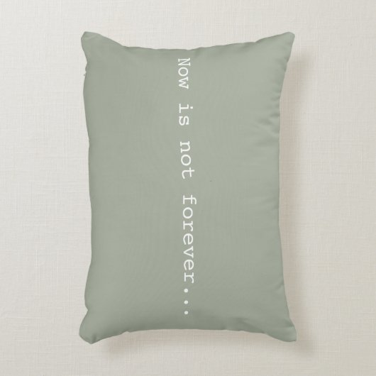 今は永久にありません+がらくたの枕の負荷は決してありません アクセントクッション (正面(垂直))