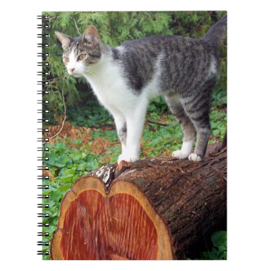 今は私の注意を持っている – 子猫ノート ノートブック (正面)