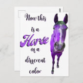 今は紫違う色の馬 ポストカード (正面/裏面)