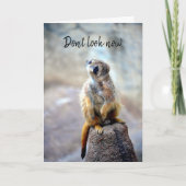 今は見ない-誕生日カード カード (正面)