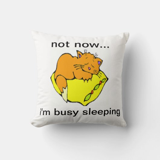 今は…寝てな忙しい クッション (正面)