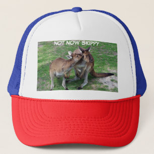 今はSkippy Truckerキャップではない キャップ