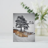 今までのところではそれは育ちます ポストカード (スタンド正面)