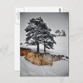 今までのところではそれは育ちます ポストカード (正面/裏面)