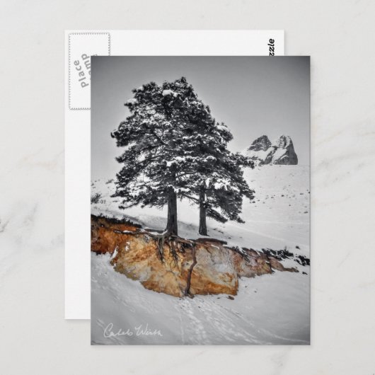 今までのところではそれは育ちます ポストカード (正面/裏面)