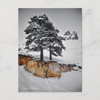 今までのところではそれは育ちます ポストカード