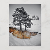 今までのところではそれは育ちます ポストカード (正面)