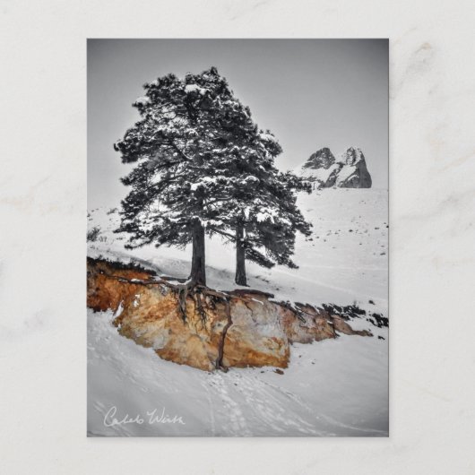 今までのところではそれは育ちます ポストカード (正面)