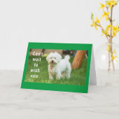 **今まで最高のの誕生日** カード (黄色い花)