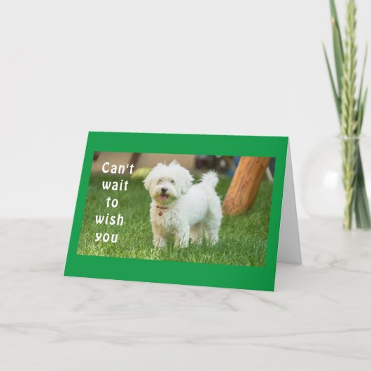 **今まで最高のの誕生日** カード (正面)