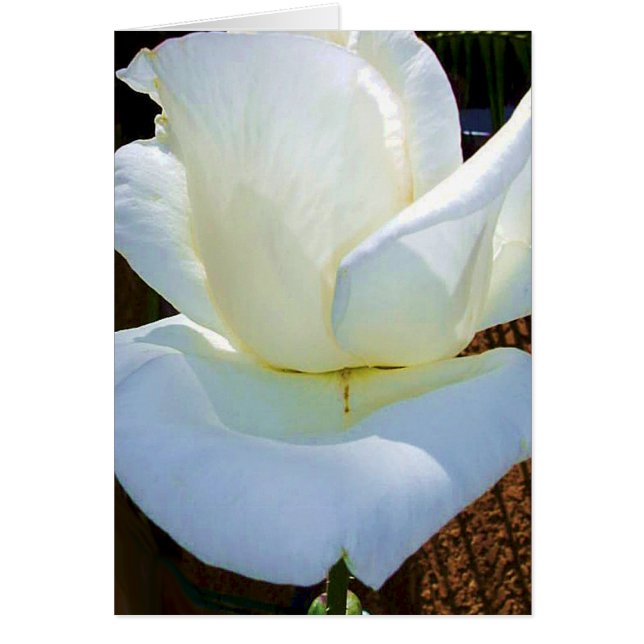 今も永遠に_ (正面)