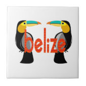 今ベリーズ タイル (正面)