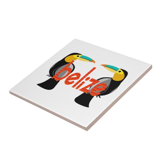 今ベリーズ タイル (側面)