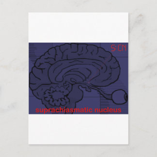 今何時だ?頼SCN ポストカード