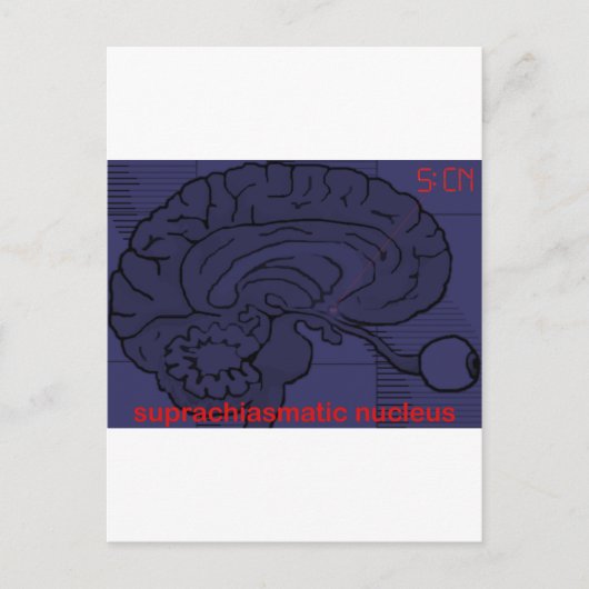 今何時だ?頼SCN ポストカード (正面)