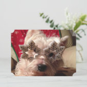 今冬の雪片眼鏡 シーズンカード (スタンド正面)