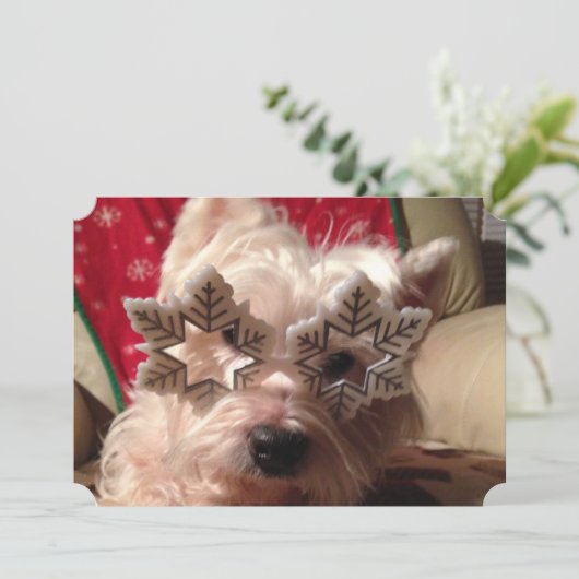 今冬の雪片眼鏡 シーズンカード (スタンド正面)