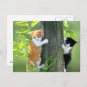 今困っている ポストカード (正面/裏面)