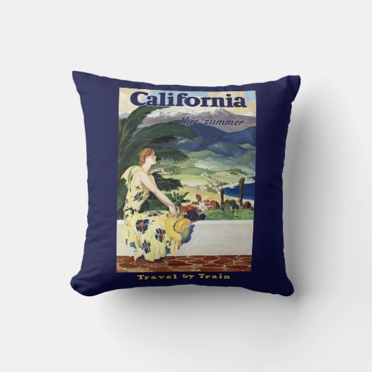 今夏のカリフォルニア クッション (正面)