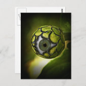 今夜は庭で目が見える! ポストカード (正面/裏面)