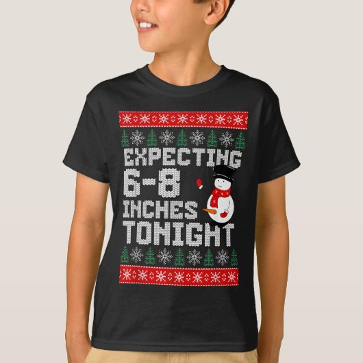 今夜は15～20cmの雪が降るらしいゾ～大人向けTシャツH Tシャツ (正面)